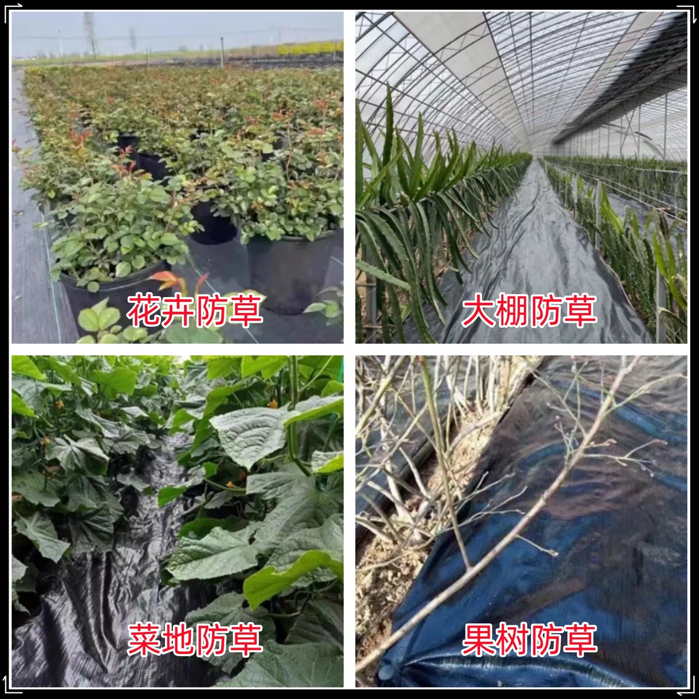 贺州市工程膜防草布 - 排名