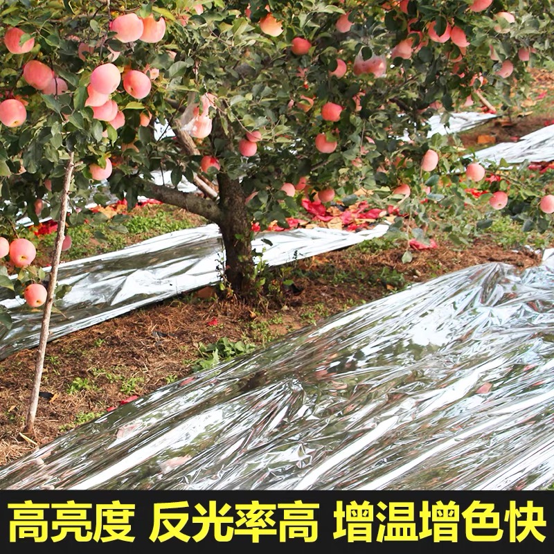 贺州市塑料薄膜果树反光膜 - 排名